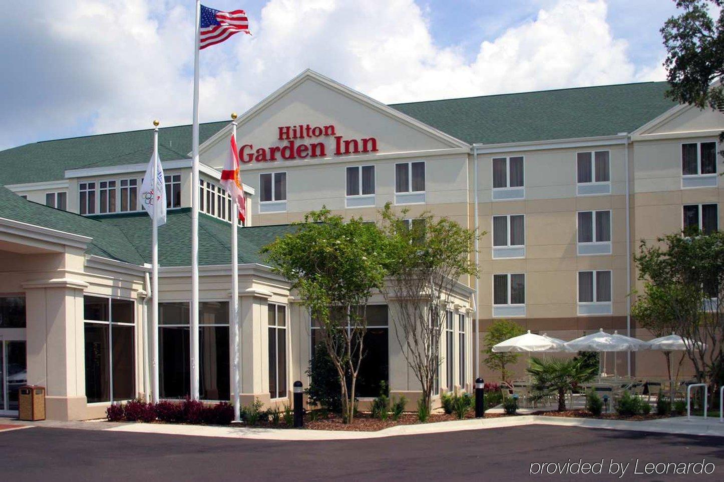 Hilton Garden Inn גיינסוויל מראה חיצוני תמונה